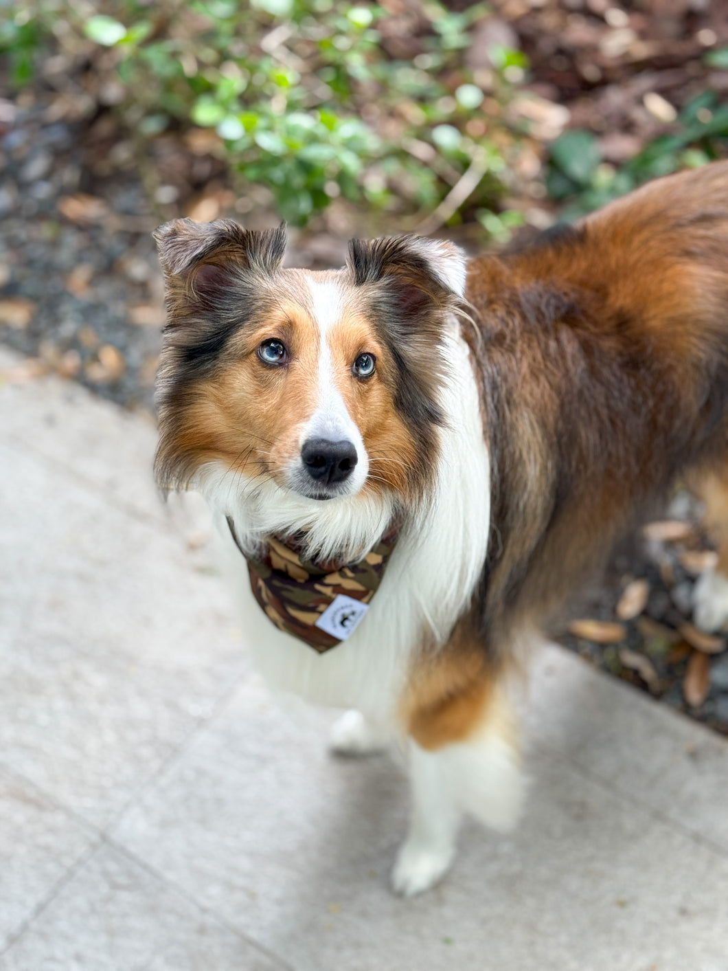 Camo Bandana