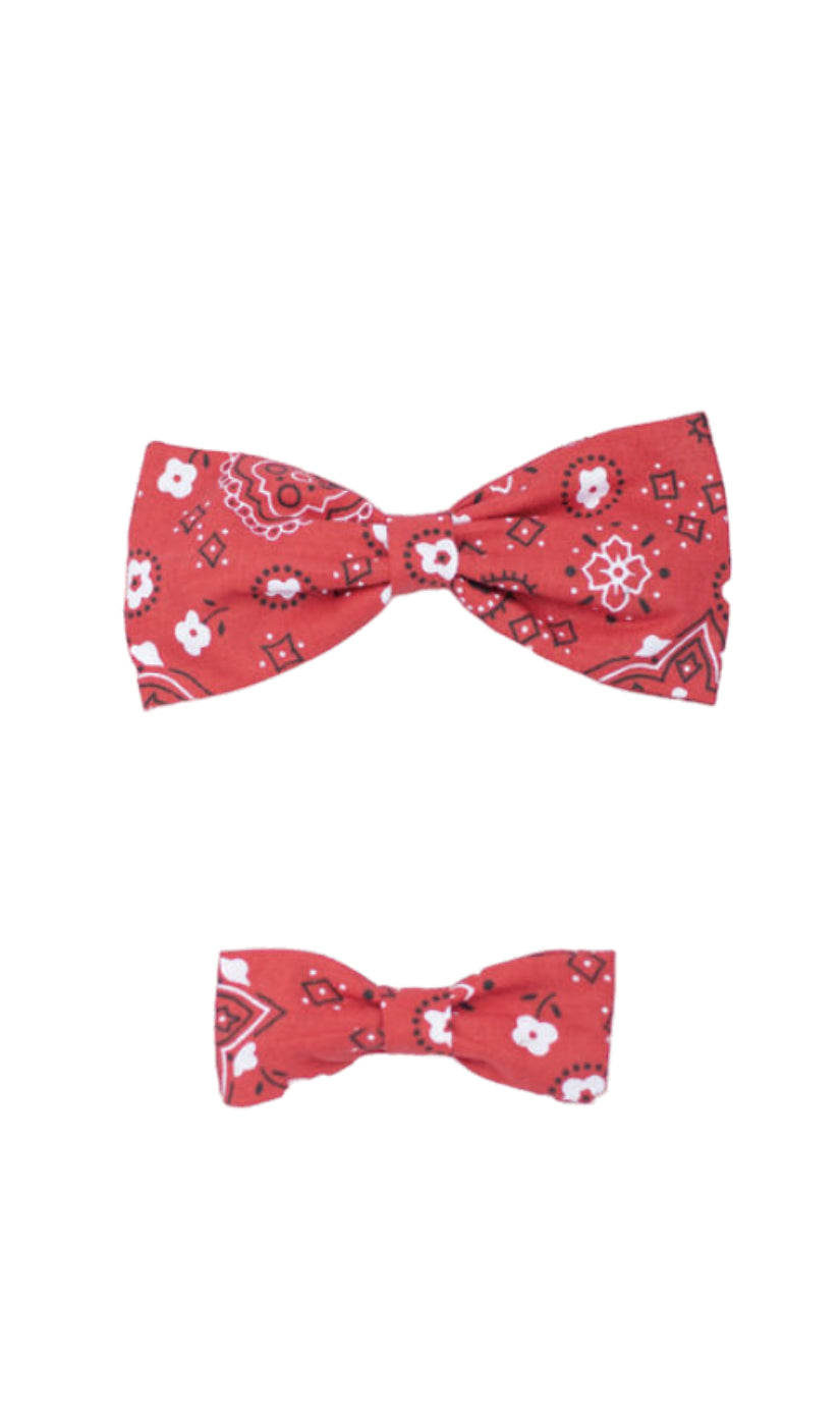 Paisley Red Bowtie